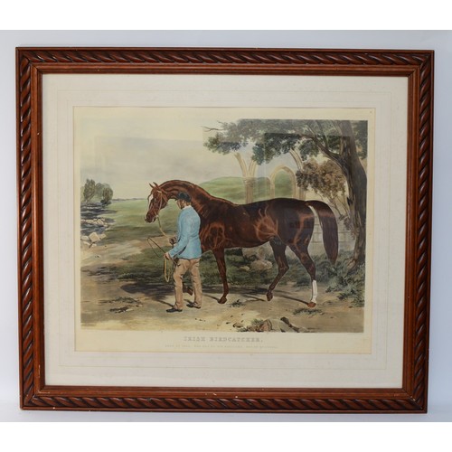 58 - A large, framed engraving of the racehorse, Irish Birdcatcher, bred in 1833 and acquired by Sir Herc... 