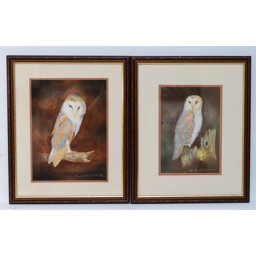 48 - C. E. Cooper; Pair of Barn Owl Paintings, of local or regional interest, signed by the artist, with ... 