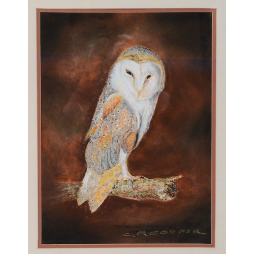 48 - C. E. Cooper; Pair of Barn Owl Paintings, of local or regional interest, signed by the artist, with ... 