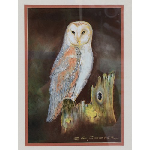 48 - C. E. Cooper; Pair of Barn Owl Paintings, of local or regional interest, signed by the artist, with ... 