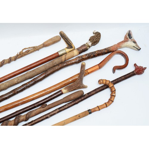 120 - A collection of nine walking sticks and canes, to include an example with an antler finial and a mou... 