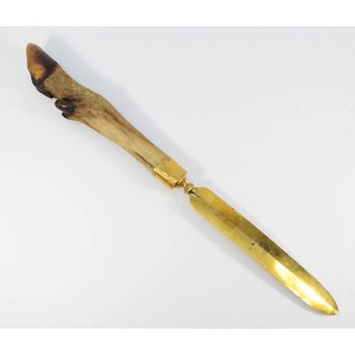 139 - A stag/deer foot pager turner with a 29cm brass blade and a brass mount.