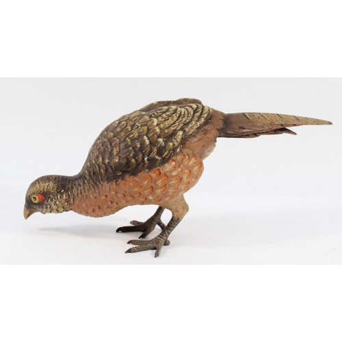 151 - A twentieth century cold-painted bronze of a pheasant, pecking the ground, H-13cm.