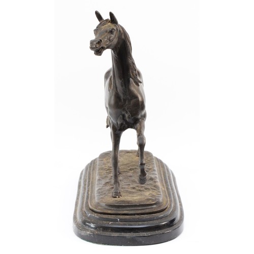 155 - A bronze model of a stallion on a steeped marble plinth base, H-28 x 30cm.