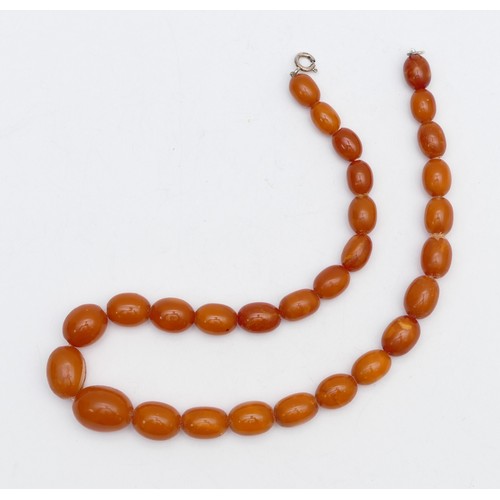 45 - A butter scotch amber bead necklace, largest 17 x 13mm, 36cm, 22gm