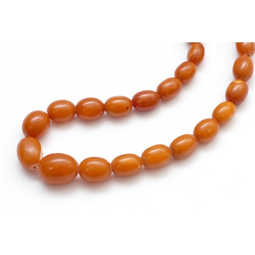 45 - A butter scotch amber bead necklace, largest 17 x 13mm, 36cm, 22gm