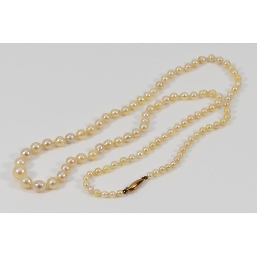 575 - A cultured pearl single strand necklace, graduating in size, largest is 8mm