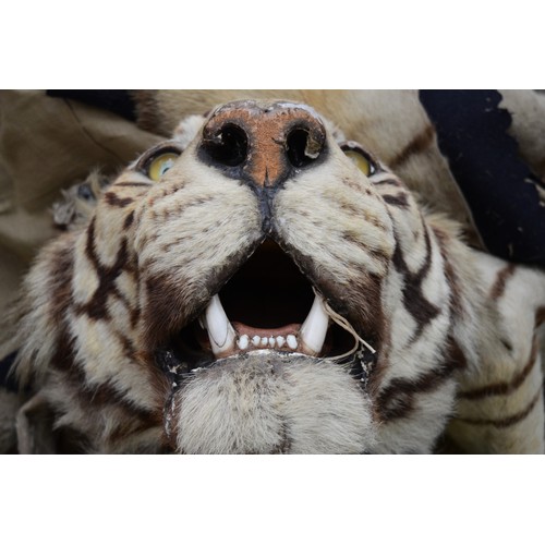 453 - A Van Ingen & Van Ingen Bengal Tiger (Panthera Tigris Tigris) Skin Rug, the head mounted on wood wit... 