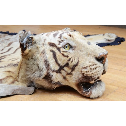 453 - A Van Ingen & Van Ingen Bengal Tiger (Panthera Tigris Tigris) Skin Rug, the head mounted on wood wit... 