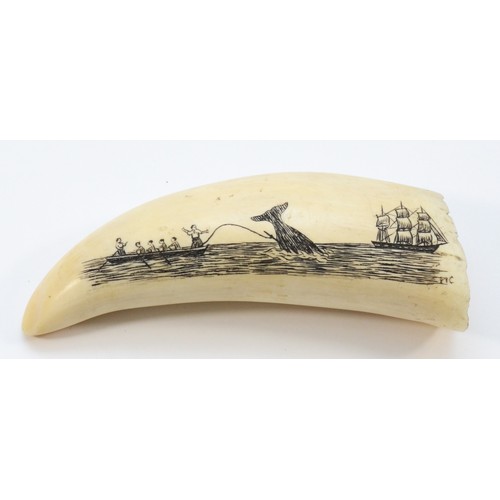 452 - A late 19th/early 20th century scrimshaw whale's tooth, incised with a three mask whaler and a rowin... 