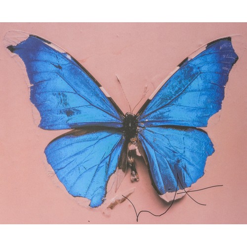 474 - Damien Hirst (b.1965), Blue Butterfly, print, c. 2006, signed with a X in marker pen, included in th... 