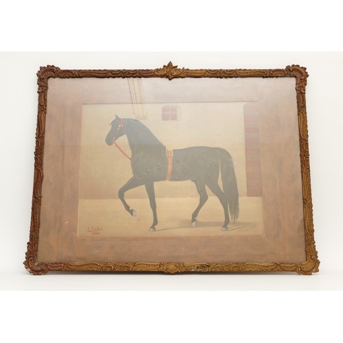 572 - E. Jansem, black stallion in stable, oil on board, signed and dated 1884, 38 x 50cm