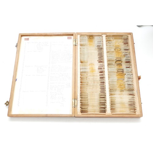 99 - Scientific and Natural History Interest; 94 specimen microscope slides on theme 'Insects', each labe... 