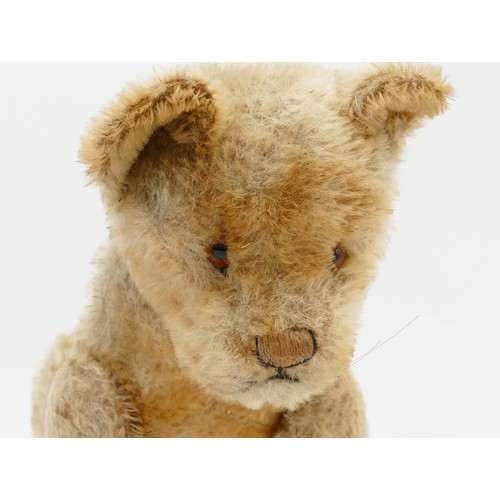 168 - An early 20th century jointed golden mohair Lion, attributed to Steiff (Germany), button to ear, amb... 