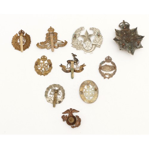 256 - 10x Military cap badges, to include Royal Warwickshire, Fear Naught and Royal Engineers.