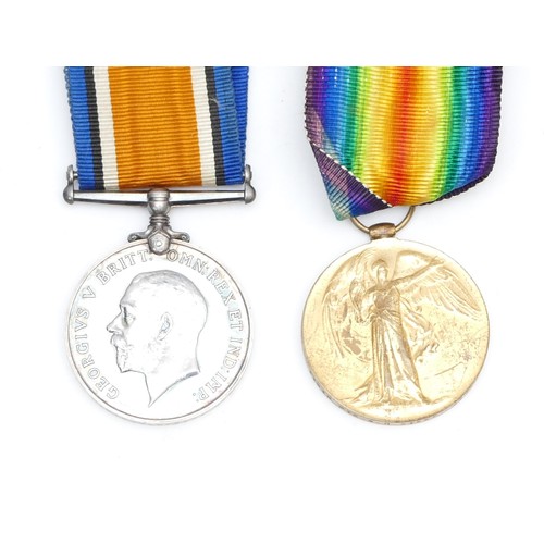 293 - WWI pair of War and Victory medals, awarded to 11313 PTE. W. R. Stees. Devon Regiment.