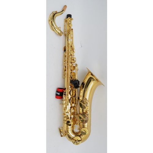 96A - A Roy Benson saxophone, model no. TS-101, complete with case and accessories.