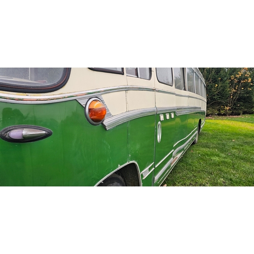  1960 Bedford SB3 Duple Super Vega, petrol. Registration number 551 HHW. Chassis number SB3 73484. 
S... 