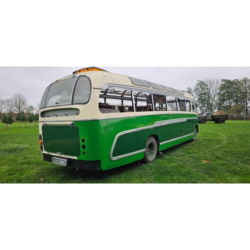  1960 Bedford SB3 Duple Super Vega, petrol. Registration number 551 HHW. Chassis number SB3 73484. 
S... 