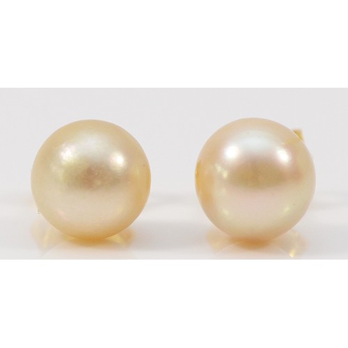 239 - A pair of 18ct gold cultured pearl earrings with 14k gold scroll backs, 1.5g