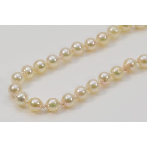 321 - A 9ct gold clasp cultured pearl necklace, individually knotted, 11g