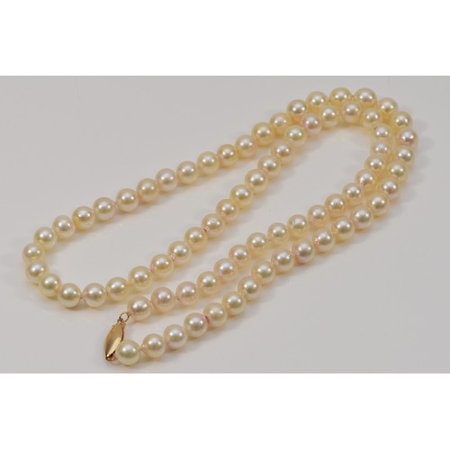 507 - A 14k gold clasp cultured pearl necklace, 59.5g