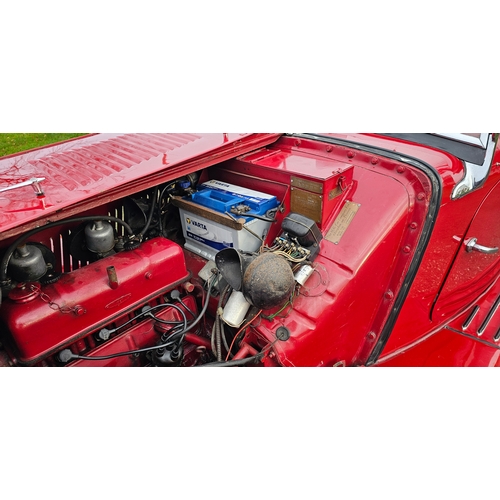 510 - 1950 MG TD RHD. Registration number USV 564 (non transferrable). Body Type 22381. Body No., 2439/497... 