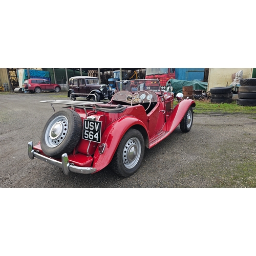 510 - 1950 MG TD RHD. Registration number USV 564 (non transferrable). Body Type 22381. Body No., 2439/497... 