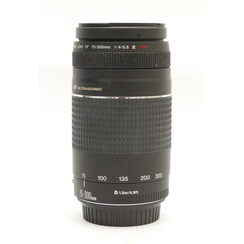 181 - A Canon EF f/4-5.6 75-300mm zoom lens.