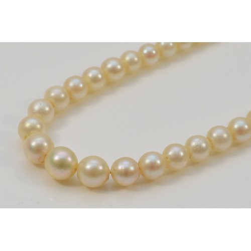 350 - A single row, graduated cultured pearl necklace, 7 - 2.5mm beads, 49cm, to a 9ct gold garnet and pea... 