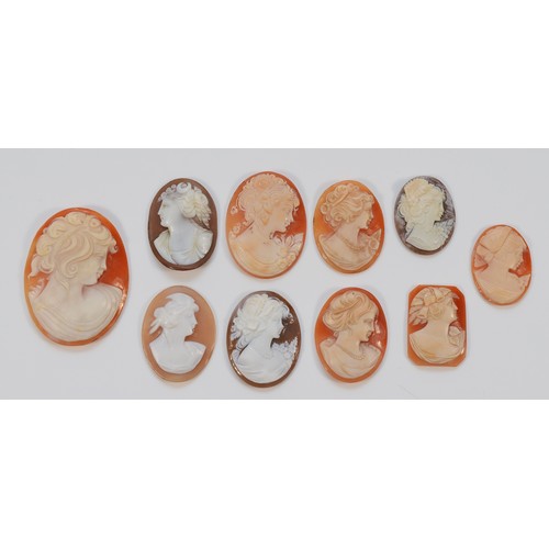 75 - A collection of ten shell cameo brooch panels, in varying sizes from 50mm to 30mm, 45g