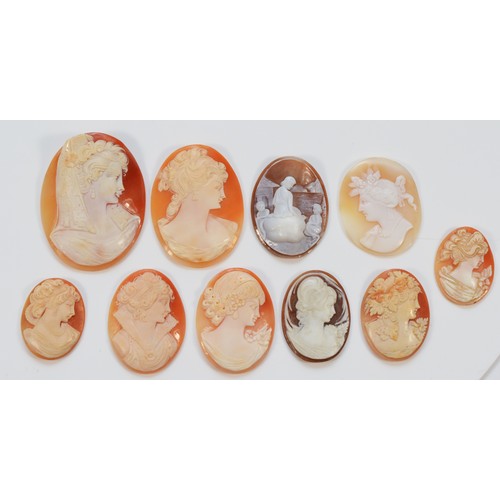 86 - A collection of ten shell cameo brooch panels, in varying sizes from 60mm to 30mm, 45g