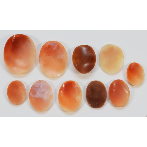 86 - A collection of ten shell cameo brooch panels, in varying sizes from 60mm to 30mm, 45g