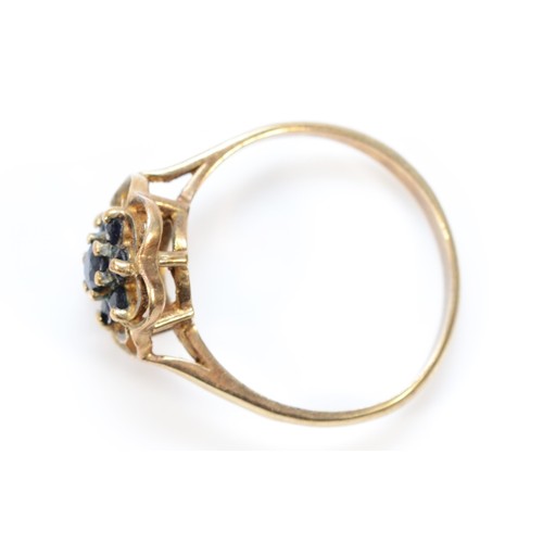 219 - A 9ct gold sapphire floral cluster ring, O 1/2, 2.3g