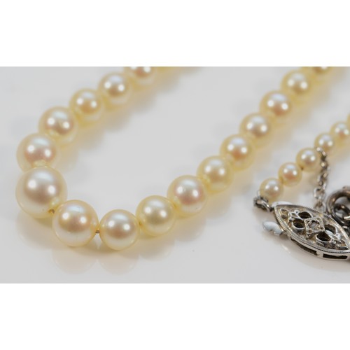 252 - A 9ct white gold and diamond clasp cultured pearl necklace, graduating pearl size, largest 6mm, 13.7... 