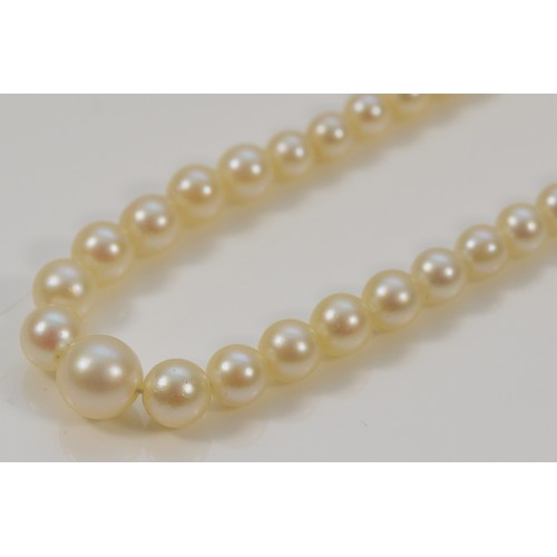 402 - A 9ct white gold clasp cultured pearl necklace, graduating pearl sizes, largest 6mm, 8.8g