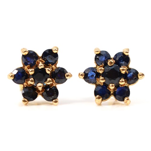 467 - A pair of 9ct gold sapphire floral cluster earrings with scroll backs, 1.3g