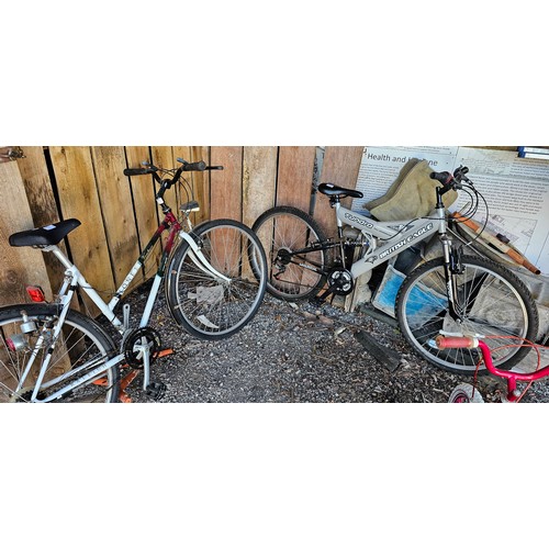 Lot 6         