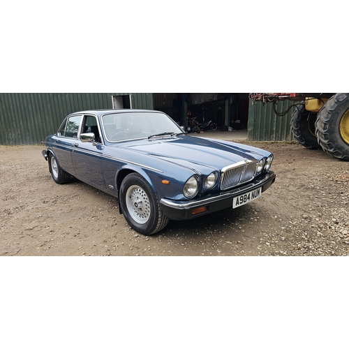 Lot 261       