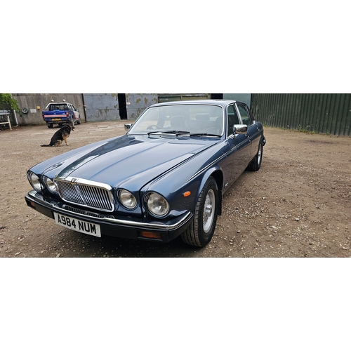 261 - 1983 Jaguar Series III Sovereign HE Auto, 5,343cc. Registration number A984 NUM. VIN number SAJJDALW... 