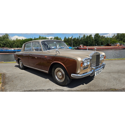 Lot 262       