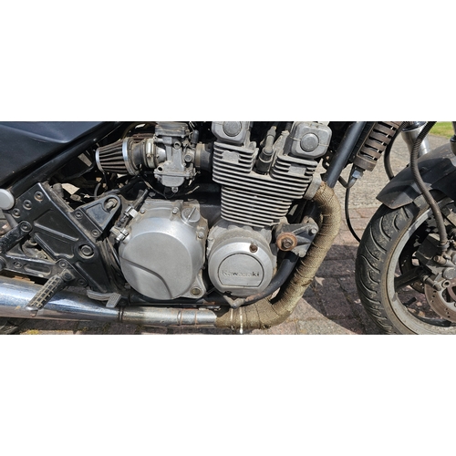 ローザページ Amazon.com: 3 Sizes Flower Frogs Flower Holder Floral