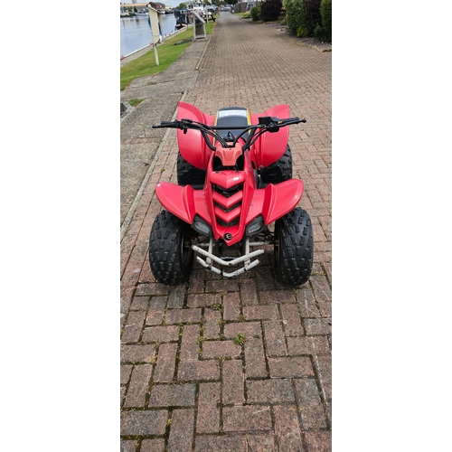 291 - E-ton Viper 90 Quad bike, electric start, unused for several years it will require a new battery