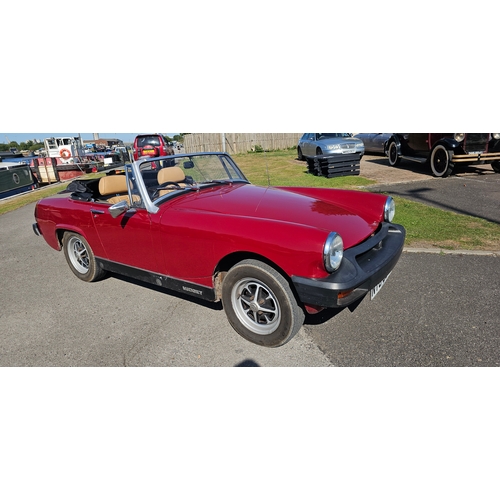 Lot 257       