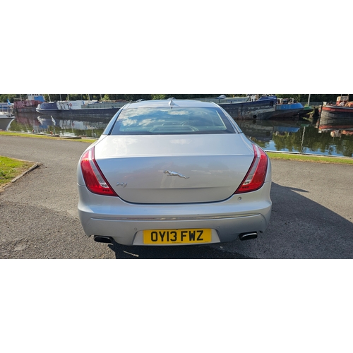 260 - 2013 Jaguar XJ Portfolio V6 Diesel automatic, 2,993cc. Registration number OY13 FWZ. VIN number SAJA... 