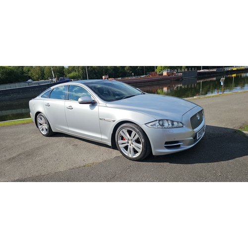 Lot 260       