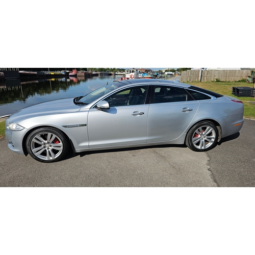 260 - 2013 Jaguar XJ Portfolio V6 Diesel automatic, 2,993cc. Registration number OY13 FWZ. VIN number SAJA... 