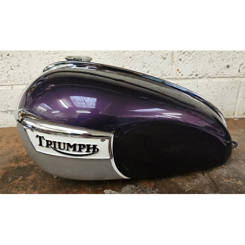 127 - A Triumph Daytona, c.1970, petrol tank