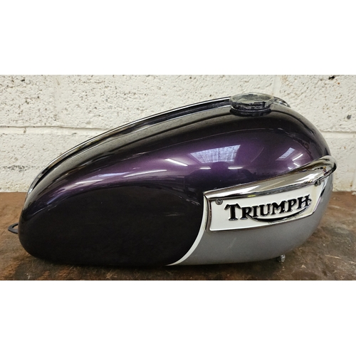 127 - A Triumph Daytona, c.1970, petrol tank