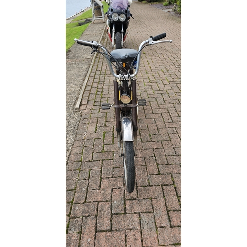 343 - 1981 Honda Camino DX 49cc. Registration number CEE 285X. Frame number V1170832. Engine number not fo... 